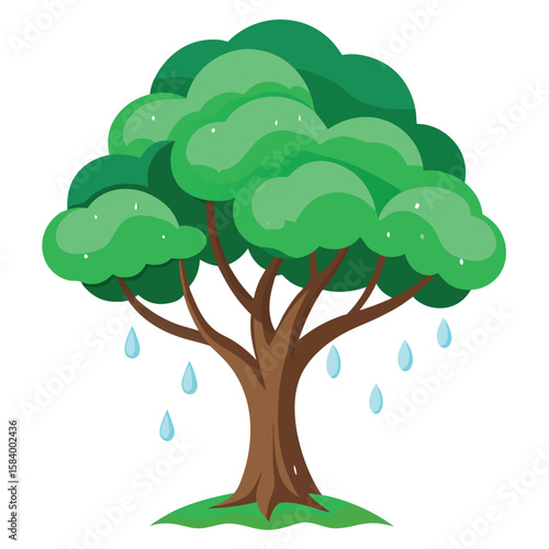 rain tree 