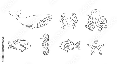 Marine life outlines featuring a whale, crab, octopus, starfish, seahorse and two fish species