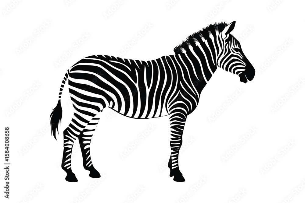 Fototapeta premium Black and white silhouette of a zebra standing animal