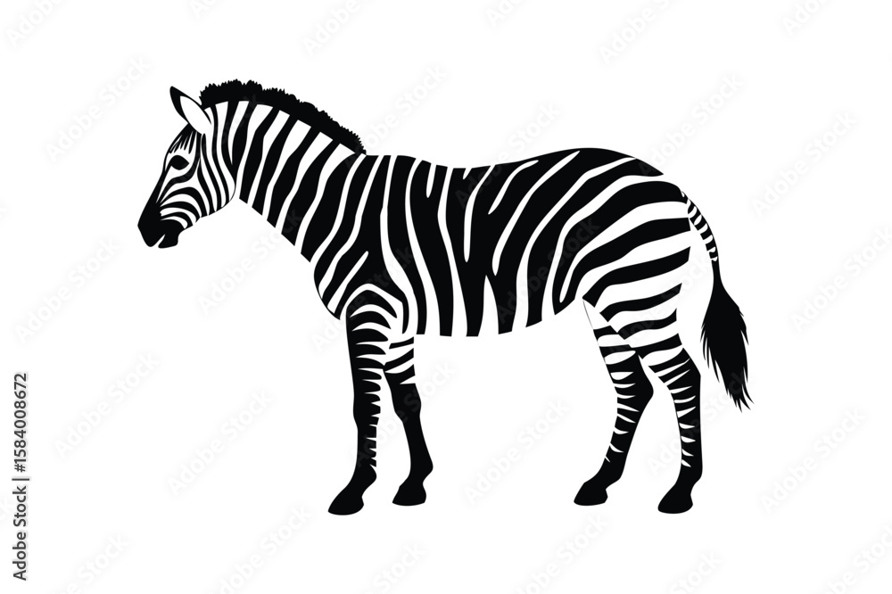 Obraz premium Black and white zebra silhouette standing on a white background