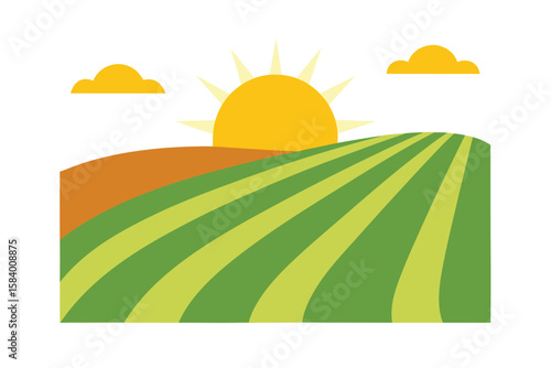 Simple Landscape With Mowed Field Patterns And Trees