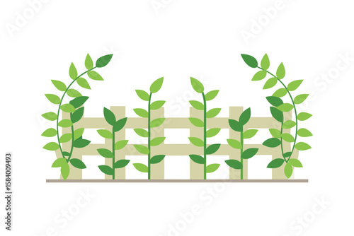 Flat Trellis Wall With Leafy Growth On