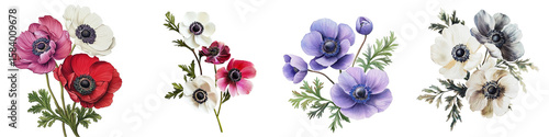 Elegant Watercolor Anemone Flower Bouquets in Red, Purple, and White – Botanical Clipart Collection – Isolated on Transparent Background