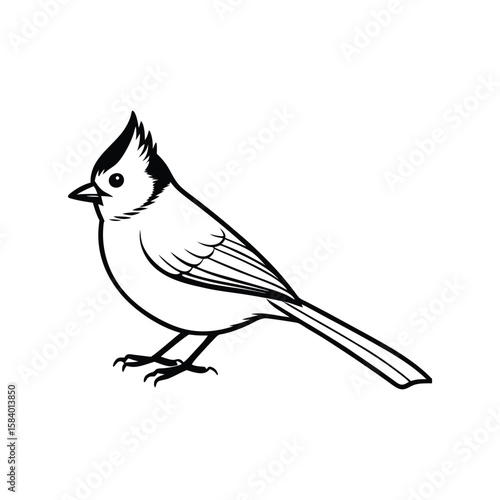 A titmouse line art silhouette vector illustration on white background