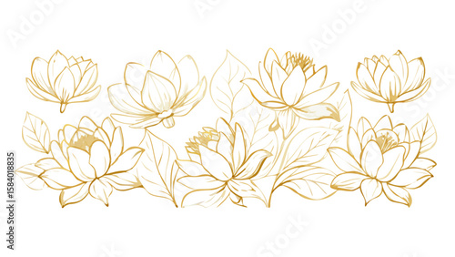 Elegant gold line art lotus flowers and leaves on a black background