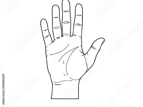 Isolated vector drawing of an open hand. Palm reading and palmistry concepts, design element