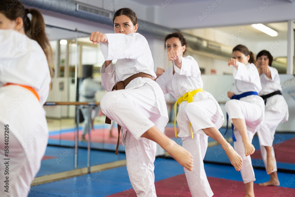 Fototapeta premium Group of womens practicing martial arts in gym. Active lifestyle and self-defense concept
