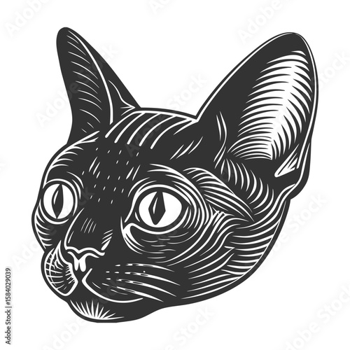 Cute, funny cartoon cat vector illustration 
