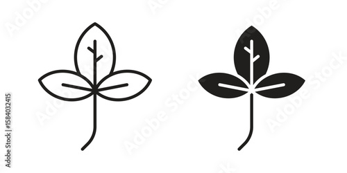 Basil icon concept for infographic, website or app.