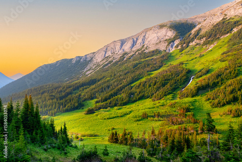 Beautiful nature scene in mountains, alpine meadows and forests on slopes in summertime in golden hour warm light. Tumbler Ridge geopark (Windfall lake), BC, Canada