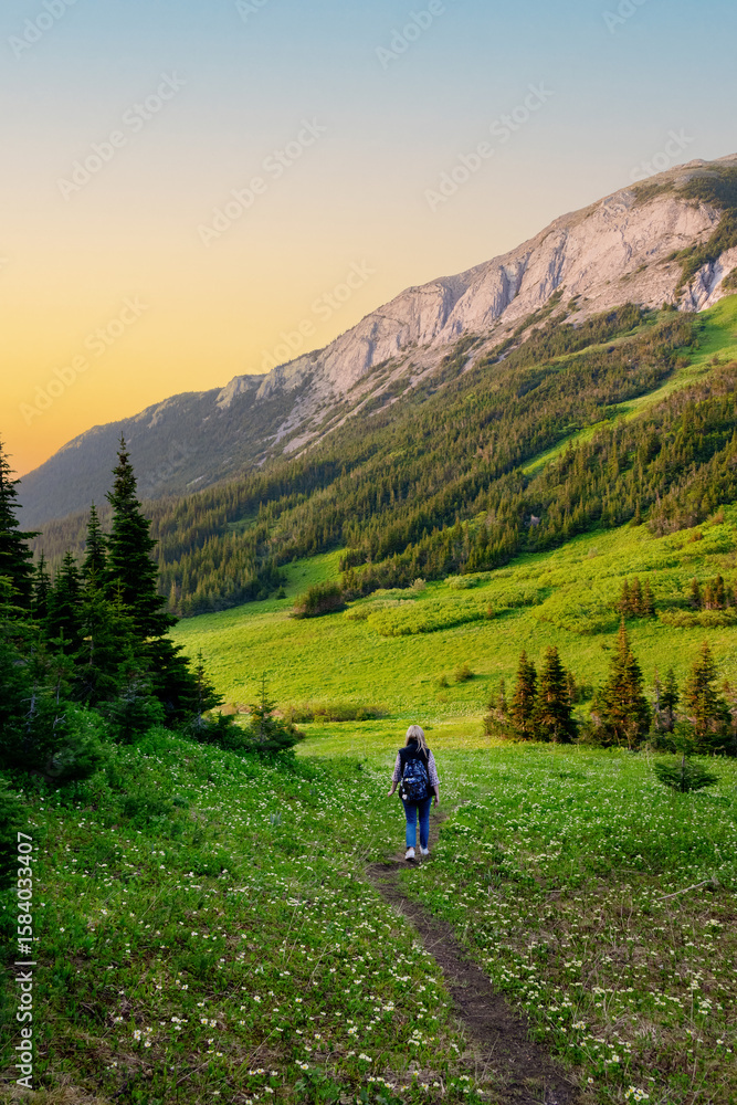 Fototapeta premium Beautiful scene in mountains, hiker woman is walking on trail in alpine meadows among slopes and forests in summertime in golden hour warm light. Tumbler Ridge geopark (Windfall lake), BC, Canada