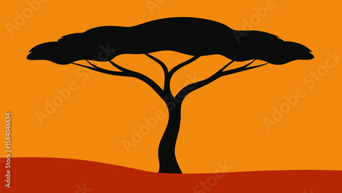 Lone Twisted Acacia Tree on the African Savanna Beauty