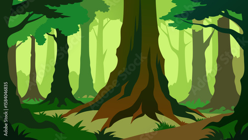 Old Growth Forest with Immense Gnarled Mossy Trees