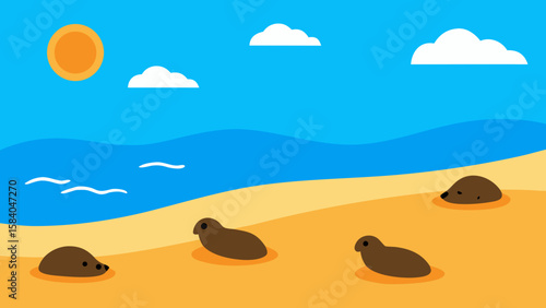 Sandy Beach Where Colony of Seals Has Come Ashore