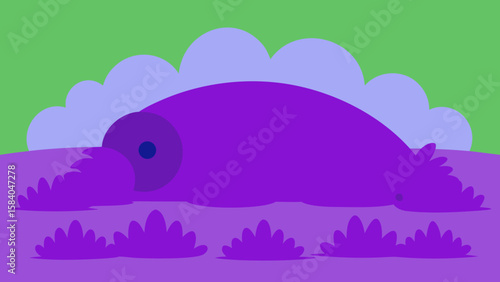 Rolling Scottish Highland Covered in Purple Heather Beauty
