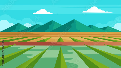 Discover a Vast Flat Landscape of Flooded Rice Paddies