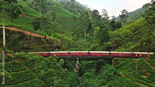 Train crossing tea plantation bridge.