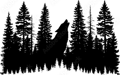 wolf in the forest
