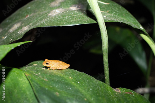 Chapada das Mesas - Maranhão