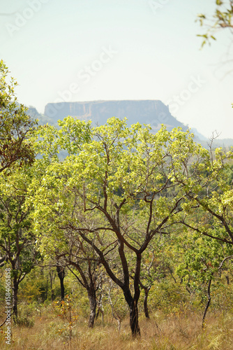 Chapada das Mesas - Maranhão