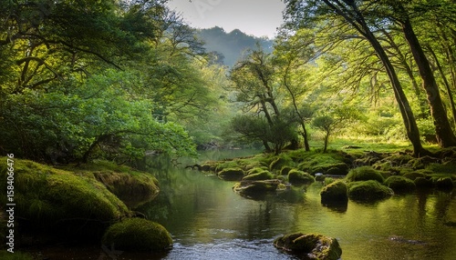 serene mystical forest glade by a tranquil water s edge