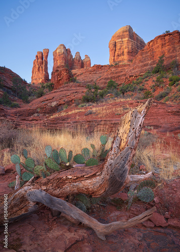 Cathedral Rock at sunrise in Sedona, Arizona. 
