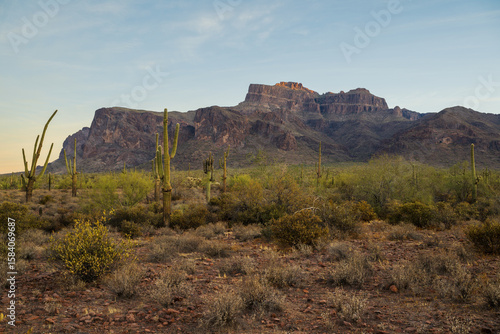 Superstition Mountains at sunrise on the Broadway Trail in Apache Junction, Arizona. 