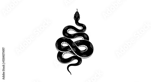 Vector black snake illustration vector drawing tattoo design serpent viper reptile cobra python anaconda mamba 100 char