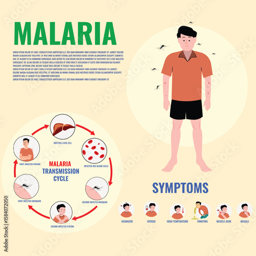 Understanding Malaria Causes Symptoms and Prevention