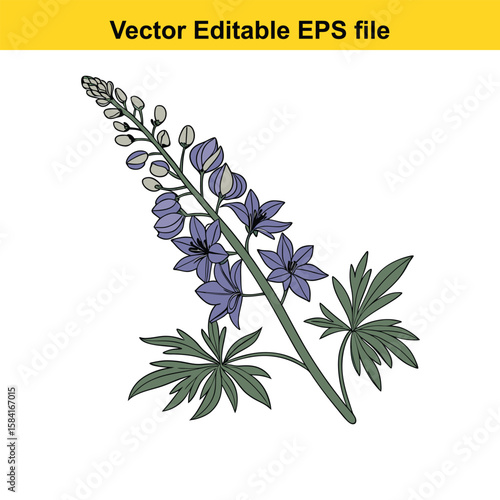 A tall spike of blue delphinium flowers with green leaves