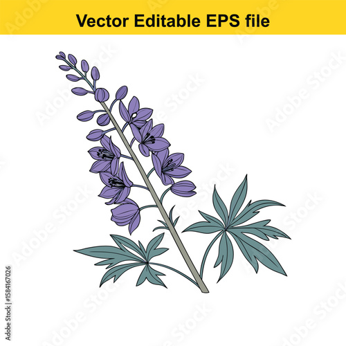 A tall spike of blue delphinium flowers with green leaves