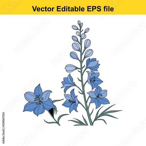 Blue delphinium flower isolated on white background