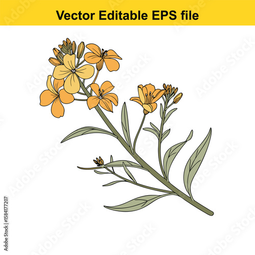 Cluster of yellow flowers with green leaves on a stem, isolated