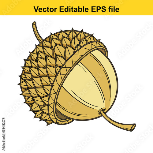A golden acorn with a detailed cap, isolated on white