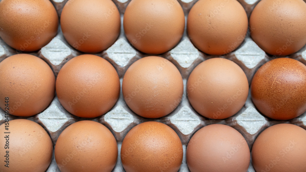 Fresh organic brown chicken eggs in cardboard tray Fresh organic brown chicken eggs in cardboard tray