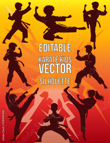 vector illustration silhouette of a kid's karate pose