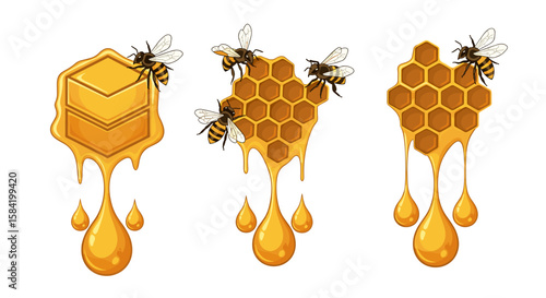 Three dripping honeycombs with bees clinging to them isolated on a white background illustration art