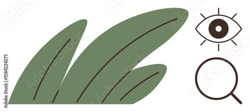 Leaves in soft green hues accompanied by an eye and a magnifying glass, symbolizing observation and exploration. Ideal for ecology, research, curiosity, sustainability, natural science, environment