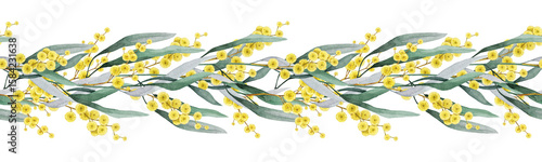 Golden wattle branches with flowers and leaves seamless border decor. Hand drawn watercolor vintage style illustration. Golden wattle floral elegant design decoration on white background