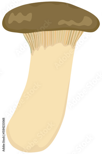 エリンギのイラスト ベクター素材