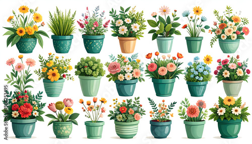 Collection of Colorful Flowers in Teal Pots