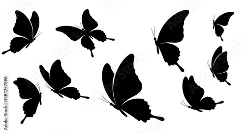 Elegant fluttering butterfly silhouettes with wings outstretched on a white background