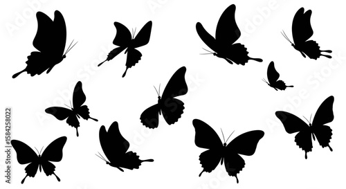 Elegant black butterfly silhouettes against a pristine white backdrop display