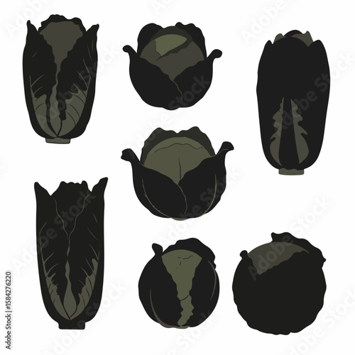 Vector illustration set of various dark green and black cabbage heads, including Napa cabbage, on a clean white background, perfect for food and agriculture designs.
