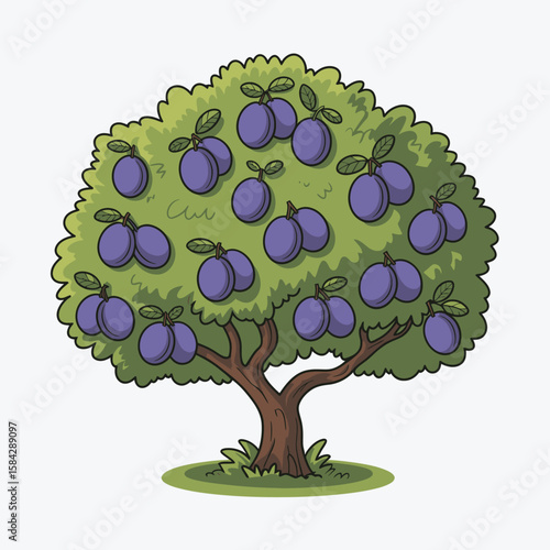 Cartoon plum tree illustration with purple plums green leaves and brown trunk on white background