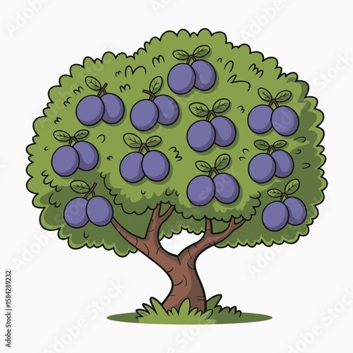 Cartoon plum tree illustration with ripe purple fruit and green foliage on a white background