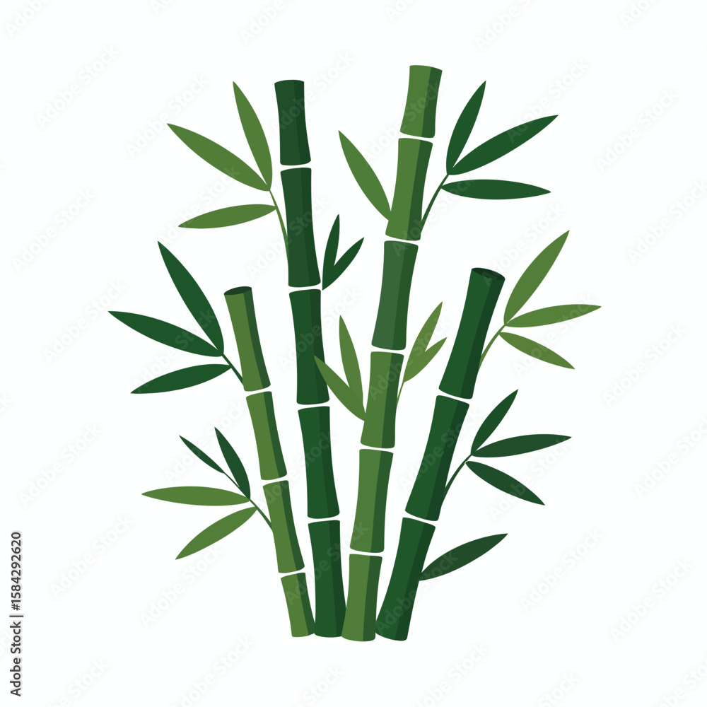Obraz premium Stylized bamboo cluster illustration with green stalks and leaves on a white background