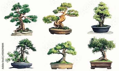 Highly detailed illustrations of various trees, leaves, grasses, and botanical elements, featuring realistic, minimalist, and abstract compositions on a white background.