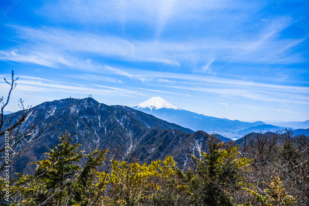 Fototapeta premium 本社ヶ丸から見る富士山