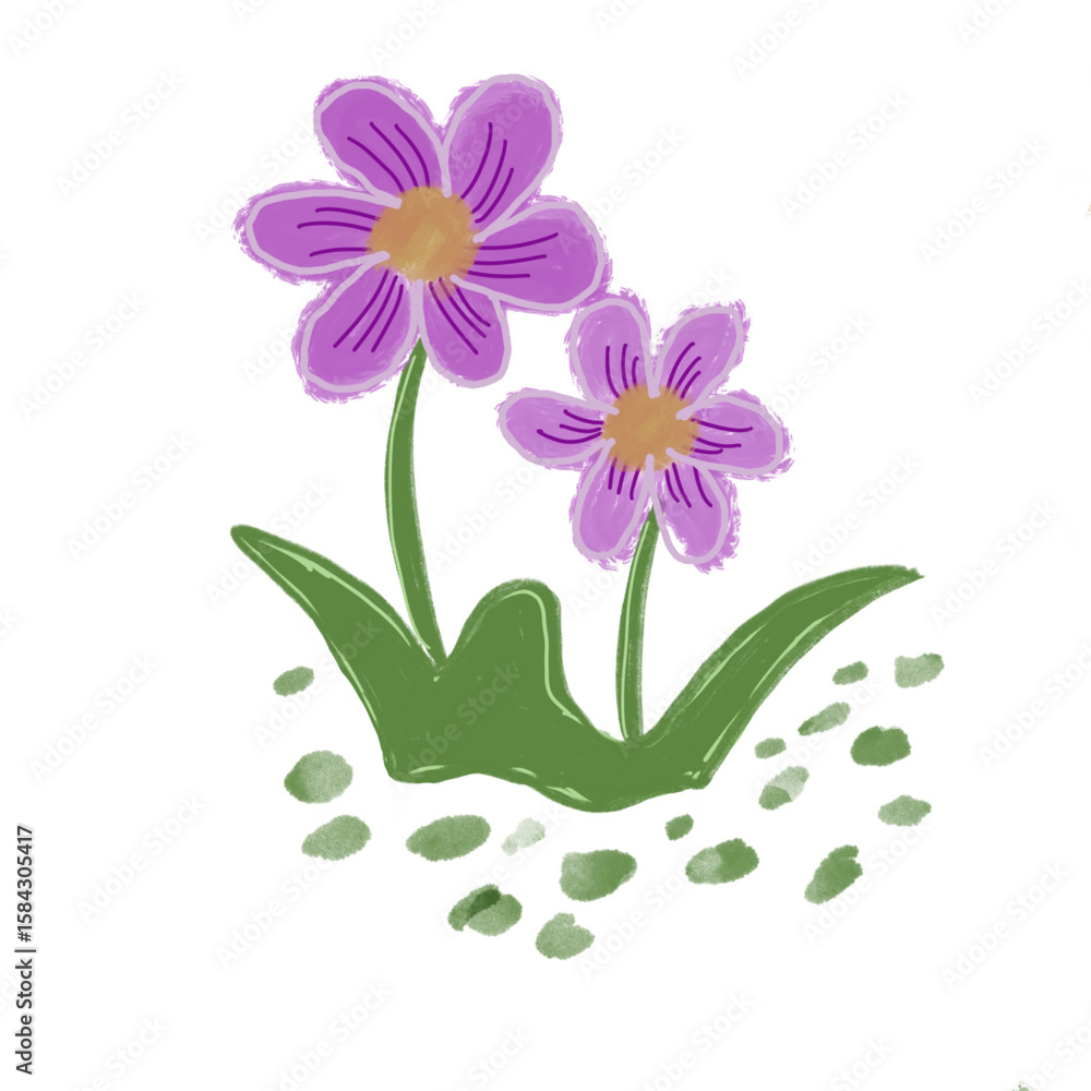 Obraz premium Pink flowers on white background
